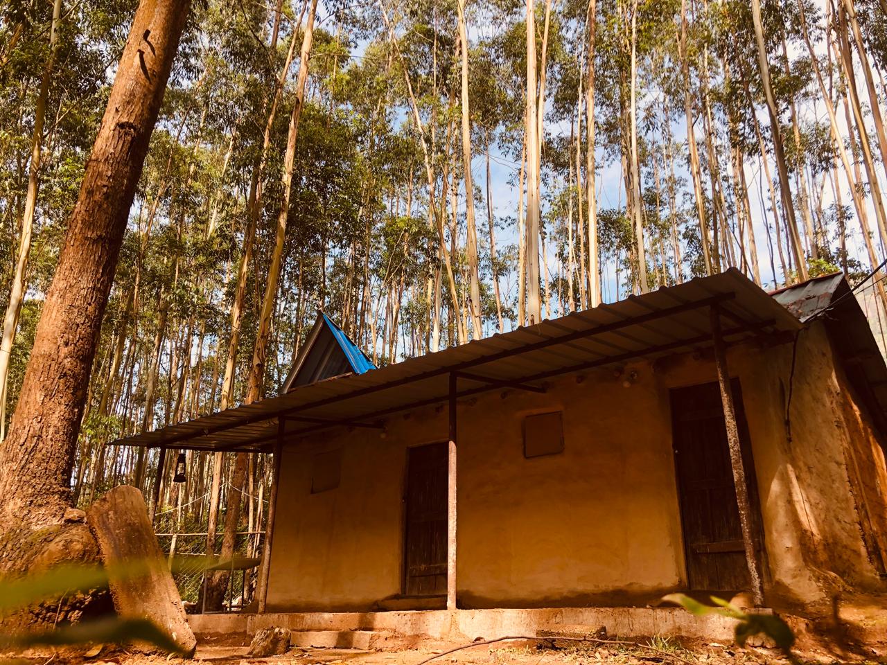 Pine Forest Mud House
